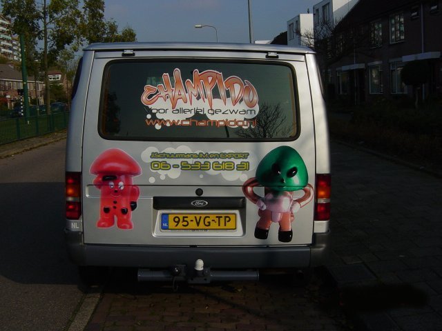 laden van autoforda.jpg