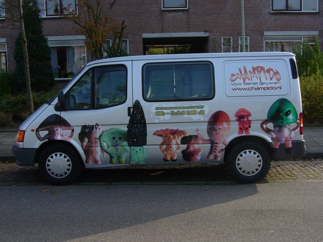 laden van autofordl.jpg