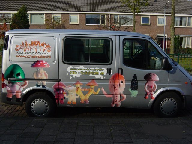 laden van autofordr.jpg